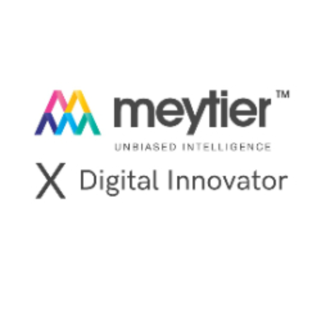 Digital Innovator X Meytier